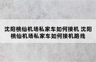 沈阳桃仙机场私家车如何接机 沈阳桃仙机场私家车如何接机路线